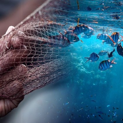 alieymata-Τροφοδοσία Εστίασης Αθήνα